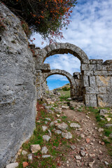 Fototapete bei efototapeten.de bestellen   