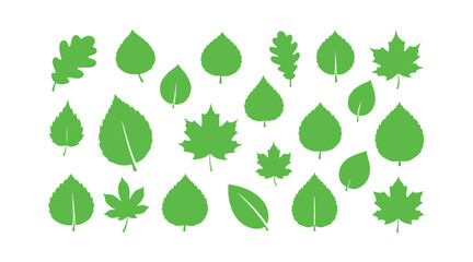 a collection of standalone green leaf icons on a white backdrop