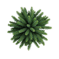 green christmas tree PNG