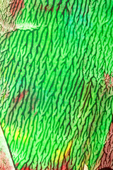 Thick vibrant abstract acrylic paint texture with lines splatters