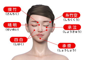 顔のツボ 目の周りのツボの3Dイラスト 上半身正面