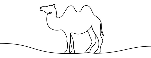 Continuous line drawing of a camel in a clean minimal outline style. Simple elegant contour of the animal, smooth linear form, isolated on transparent background as a vector illustration