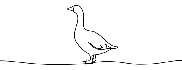 Continuous line drawing of a goose in a minimal linear style. Simple clean outline of a standing bird, elegant contour, isolated on a transparent background as a vector illustration
