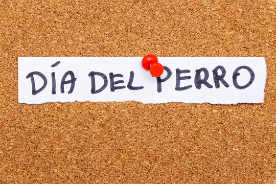 Handwritten text on paper reads Dia del Perro, signifying a celebration dedicated to dogs. This note is pinned on a corkboard, providing a rustic yet meaningful message.