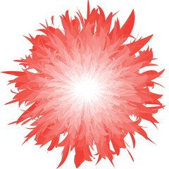 red flower isolated on white