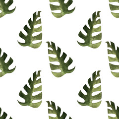 seamless pattern of monstera and philodendron watercolor leaves hand drawn on white background © elenaseiryk