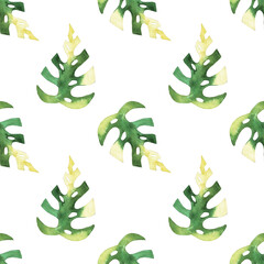 seamless pattern of monstera and philodendron watercolor leaves hand drawn on white background © elenaseiryk