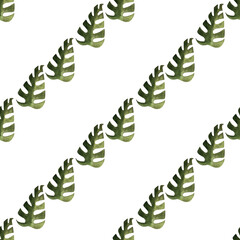 seamless pattern of monstera and philodendron watercolor leaves hand drawn on white background © elenaseiryk
