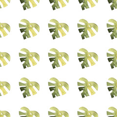 seamless pattern of monstera and philodendron watercolor leaves hand drawn on white background © elenaseiryk