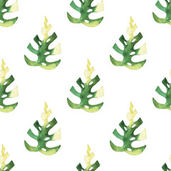 seamless pattern of monstera and philodendron watercolor leaves hand drawn on white background © elenaseiryk