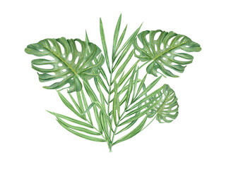 Watercolor green palm and monstera leaves bouquet illustration on isolated background. Hand painted summer tropical foliage. Floral leaf composition for greeting card, invitation.