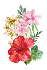 Watercolor tropical hibiscus with pink flowers and spotted orchids for exotic botanical floral decor