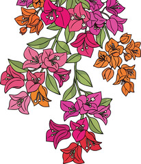 Vibrant Bougainvillea Flowers In Pink Orange And Red With Green Leaves Cascading Downward