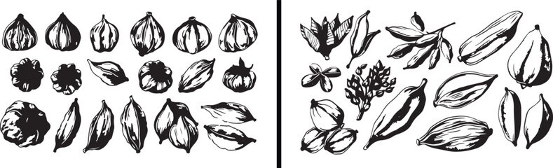 Floral Line Art, Flower Outline Design, Botanical Drawing Illustration, Nature Inspired Vector, Elegant Floral Sketch, Hand Drawn Flower Art, Minimal Botanical Design, Black and White Floral Vector, D