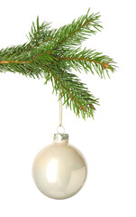 Shiny Christmas ball hanging on fir tree branch isolated on white
