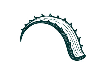 Aloe Vera hand drawn simple sketch vector illustration