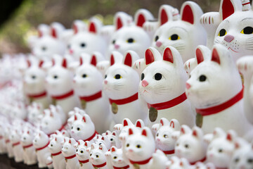 Maneki neko, beckoning lucky cat statues in a row at Gotokuji Temple in Japan