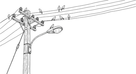 Utility pole, birds, power lines, streetlight, urban wildlife, monochrome drawing, infrastructure, perched birds, line art, electricity, nature, cityscape, illustration, blue tone, insulators