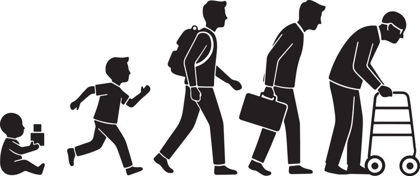 Human Life Cycle Stages Silhouette
A black and white vector illustration depicting the sequential stages of the human life cycle. Silhouettes show the progression from a baby (infant), 