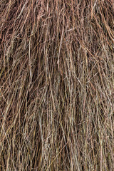 Full-frame close-up of dried grass or straw creating a dense, textured natural background. Rustic and organic feel. Ideal for texture or backdrop use