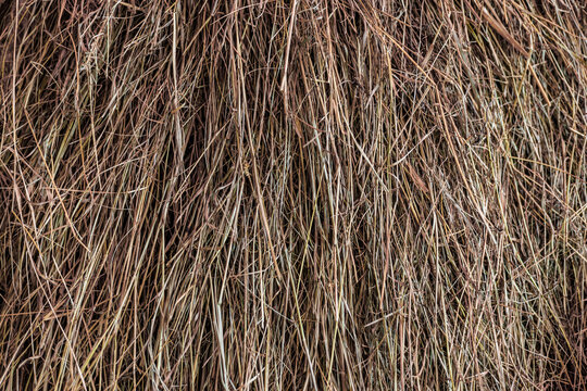 Full-frame close-up of dried grass or straw creating a dense, textured natural background. Rustic and organic feel. Ideal for texture or backdrop use