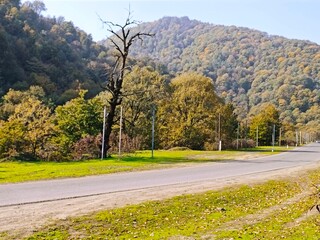Autumn highway in Azerbaijan