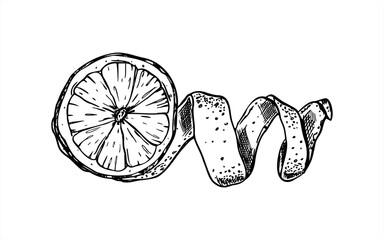 Cross section citrus with spiral peel vector illustration. Lemon or orange pulp and skin in twist shape line art painted by black inks. Monochrome ingredient for beverage packaging, healthy food.