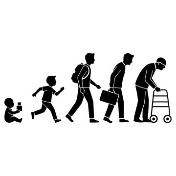 Human Life Cycle Stages Silhouette
A black and white vector illustration depicting the sequential stages of the human life cycle. Silhouettes show the progression from a baby (infant), 
