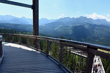 Treetop walk. Tower details and views from a metal observation tower with a modern glass terrace...