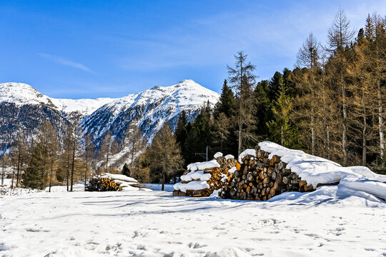 Bever, Val Bever, Winterwanderweg, Winterlandschaft, Wintersport, Brennholz, Oberengadin, Beverin, Fluss, Langlauf, Langlaufloipe, Alpen, Arvenwald, Winter, Graub&uuml;nden, Schweiz