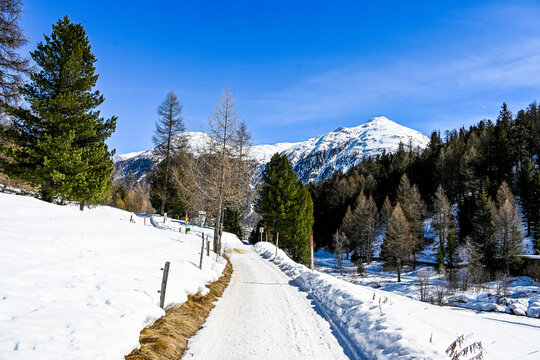Bever, Val Bever, Winterwanderweg, Winterlandschaft, Wintersport, Holzbank, Oberengadin, Beverin, Fluss, Langlauf, Langlaufloipe, Alpen, Arvenwald, Winter, Graub&uuml;nden, Schweiz