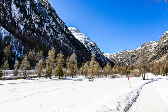 Bever, Val Bever, Winterwanderweg, Winterlandschaft, Wintersport, Holzbank, Oberengadin, Beverin, Fluss, Langlauf, Langlaufloipe, Alpen, Arvenwald, Winter, Graub&uuml;nden, Schweiz