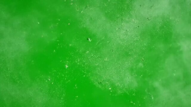 Green Liquid Background - A vibrant green liquid surface fills the frame, showcasing a smooth texture with subtle bubbles and faint surface imperfections.
