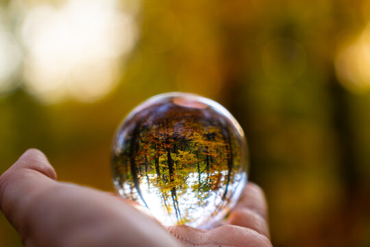Leens Ball in der Hand in einem wundersch&ouml;nen  Wald bei Sonnenuntergang