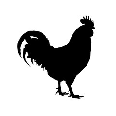 Rooster silhouette - vector illustration