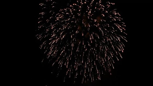 Single Firework Burst Against Night Sky - A single firework explodes against a completely black night sky. The firework has a radiating burst pattern and shows its initial stage.