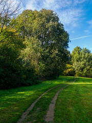 The park known as Parco Nord at Milan, Italy, in October