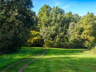 The park known as Parco Nord at Milan, Italy, in October