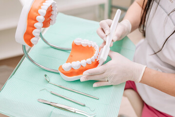 Close up of Dentist showing how to brush teeth with toothbrush on dental model