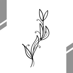 Elegant abstract leaves botanical line art drawing illustration