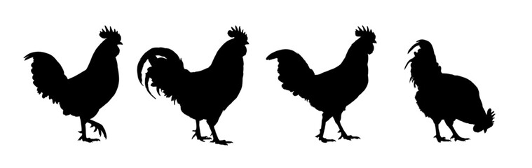 Rooster silhouettes set, collection of farm birds in different poses