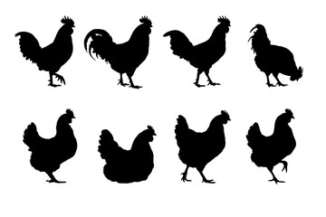 Rooster and hen silhouettes set, farm poultry collection