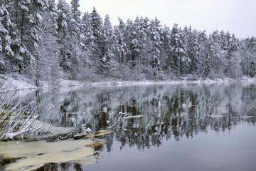Snow-covered landscape reflects in calm water, surrounded by evergreen trees, creating a serene winter atmosphere with tranquil beauty