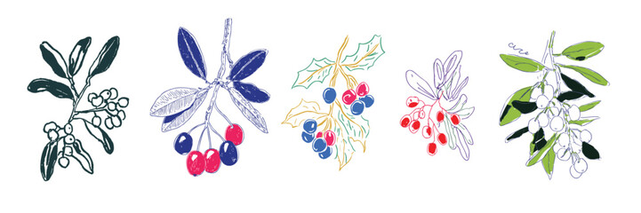 Obraz premium Hand drawn set of festive mistletoe and holly branch sketches in various colors on white background