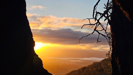 sunrise through a burned out hole in a tree