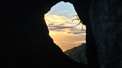 sunrise through a burned out hole in a tree