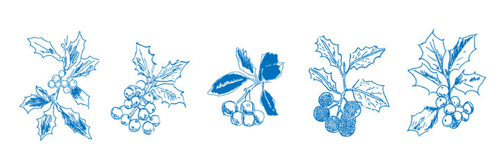 Hand drawn set of festive holly branch sketches
