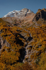 Aerial view of a mountainous landscape with vibrant autumn foliage. The trees display shades of orange and yellow, creating a picturesque scene.