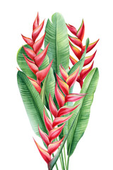 Red Heliconia Blossoms with Tall Tropical Green Leaves Watercolor Exotic Botanical Composition