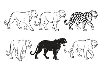 Naklejka premium Set of leopard and panther animal line art icons